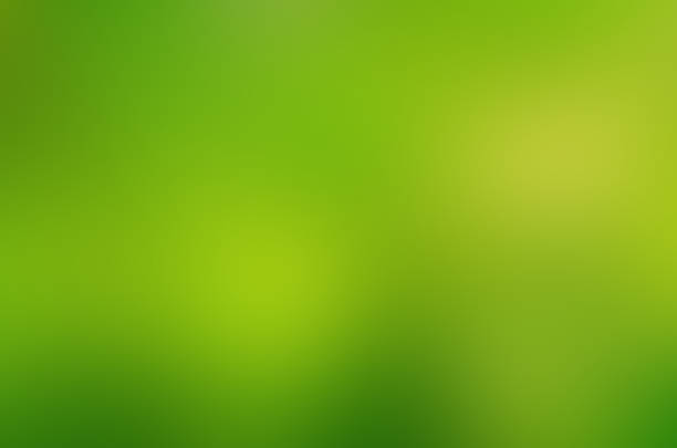 istock Abstract natural green bokeh background 923466048