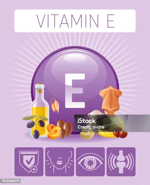 Vitamin E Tocopherol Nutrition Food Icons Healthy Eating Antioxidant Supplement Text Letter Symbol Isolated Background Diet Infographic Diagram Table Vector Illustration Butter Olive Oil Squid Stock Illustration - Download Image Now