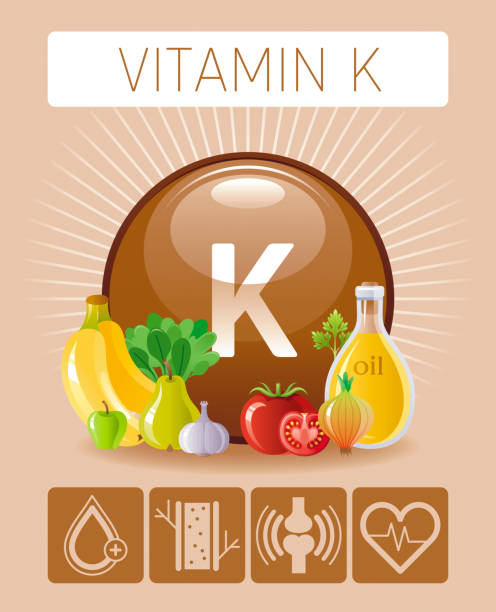 ビタミン k サプリメント食品のアイコン。健康的な食事本文文字記号、孤立した背景。ダイエット栄養インフォ グラフィックの図。テーブルのベクトル図です。オリーブ オイル、にんにく� - vitamin k illustrations点のイラスト素材／クリップアート素材／マンガ素材／アイコン素材