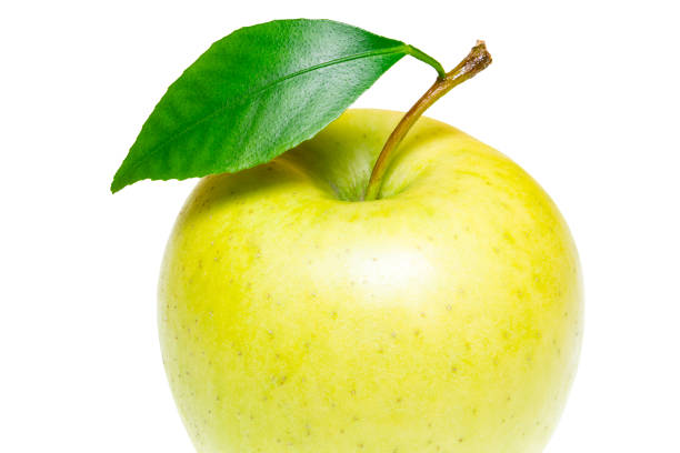 istock Single ripe green apple with green apple leaf isolated on white background. Apple and leaf with clipping path 923467148