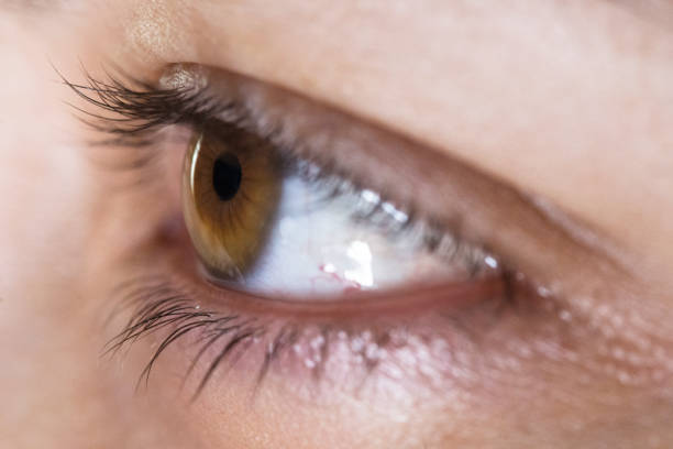 istock Close up of an Eye 923467232