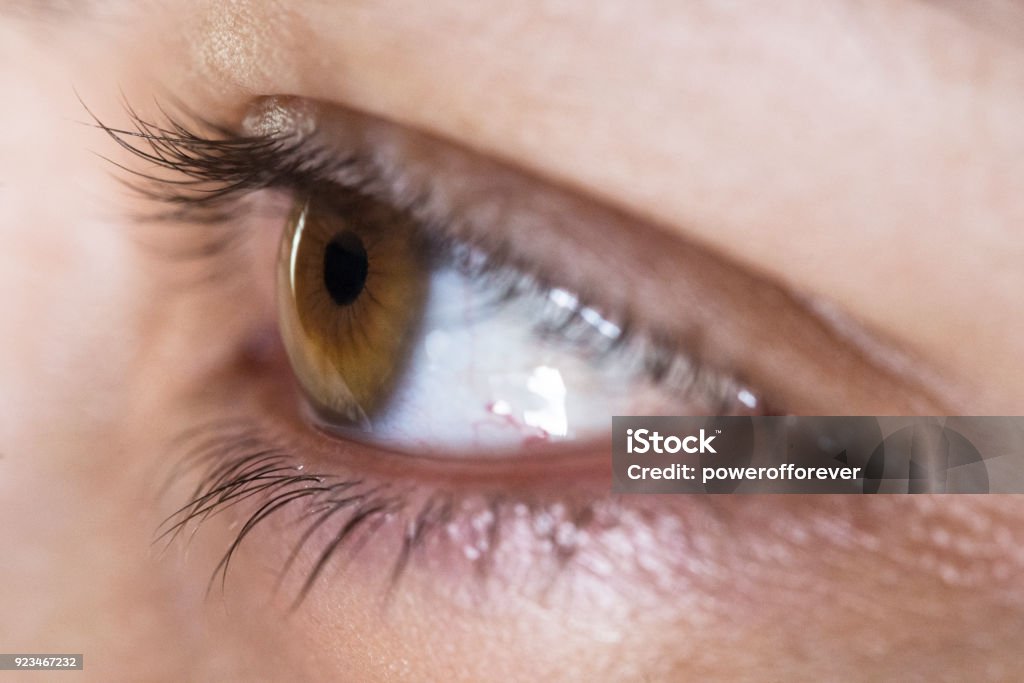 Close up of an Eye Close up macro shot of a person's eye. Eye Stock Photo