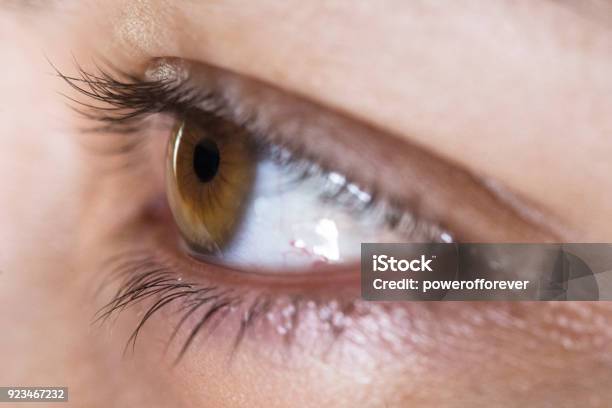 Close Up Of An Eye Stock Photo - Download Image Now - Eye, Macrophotography, Women