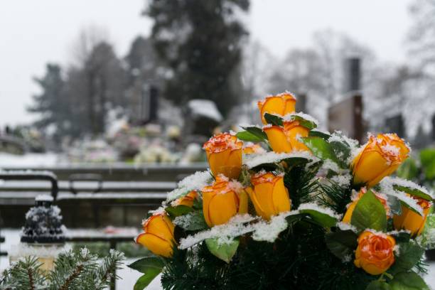 istock Cemetery covered by snow in winter. 923469956