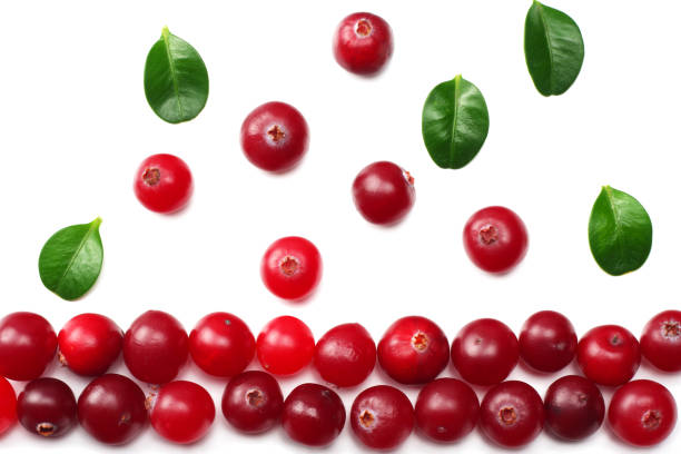 istock Cranberry isolated on white. With clipping path. Full depth of field. top view 923473566