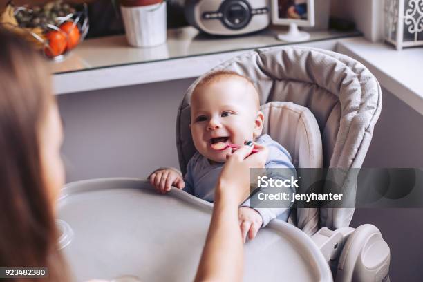 Mom Feeds The Baby From The Spoon In The Kitchen A Child Is Sitting In A Childs Chair Stock Photo - Download Image Now