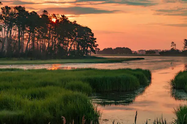 Photo of Chincoteague Sunset