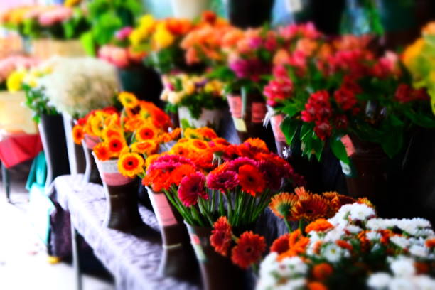 istock Flowers For Sale 923488568