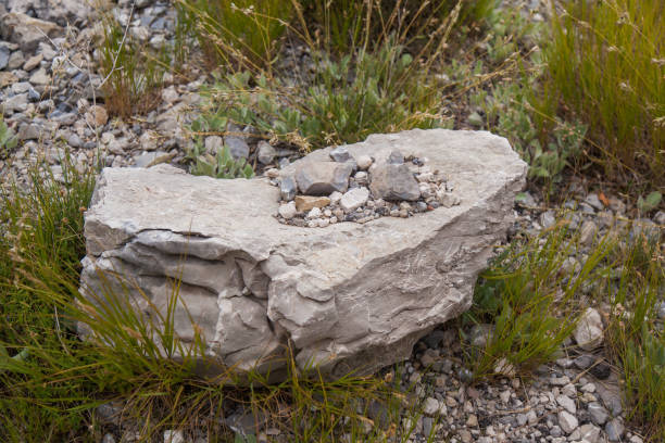 istock Stone texture of the mountain in Montenegro 923492082