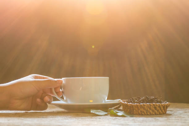 istock hand holding cup of tea 923497408