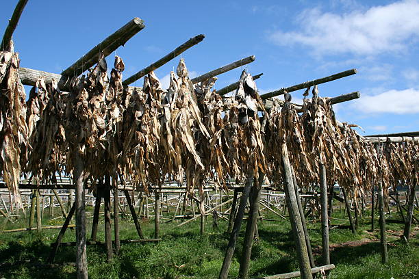 Stockfish stock photo