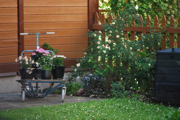istock In the garden 923504738