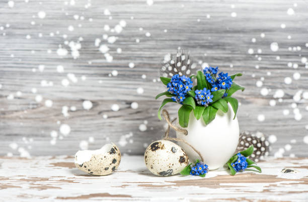 Easter decoration Forget me not flowers in egg shell Easter decoration. Forget me not flowers in egg shell on wooden background delft winter netherlands snow stock pictures, royalty-free photos & images