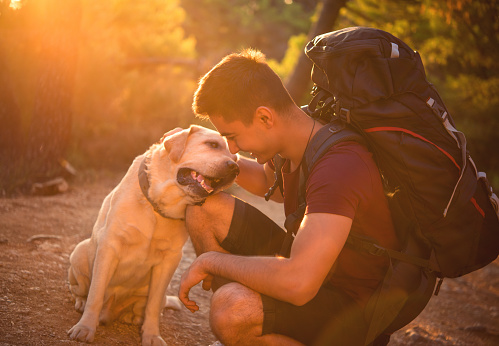 Man with dog enjoying mountain sunset
