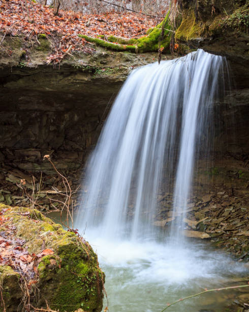 istock Indiana woodland scene 923508490