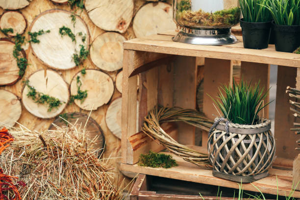 istock Wooden background photozone with green plants and rustic decorations 923514902
