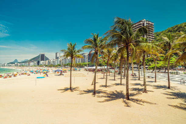 palm trees on copacabana beach. rio de janeiro, brazil - rio de janeiro copacabana beach ipanema beach brazil imagens e fotografias de stock