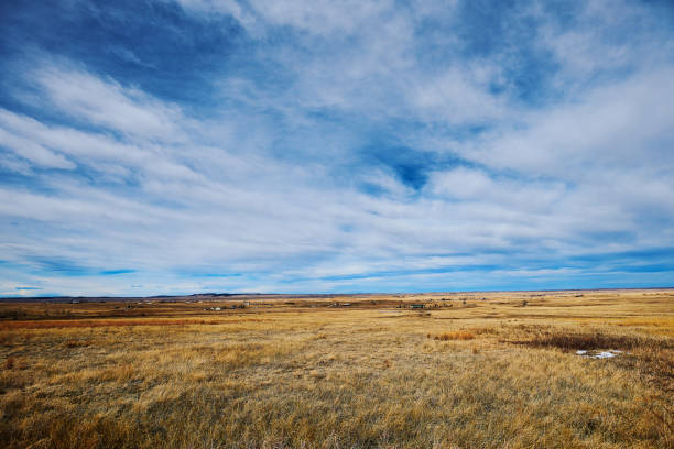 istock Wide open space in nature showing rural landscape 923519056