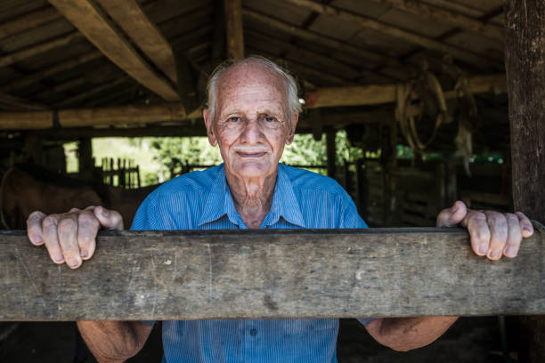 active farmer 80 years old - photography gray hair farmer professional occupation imagens e fotografias de stock