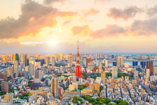 istock Tokyo skyline  with Tokyo Tower in Japan 923519764