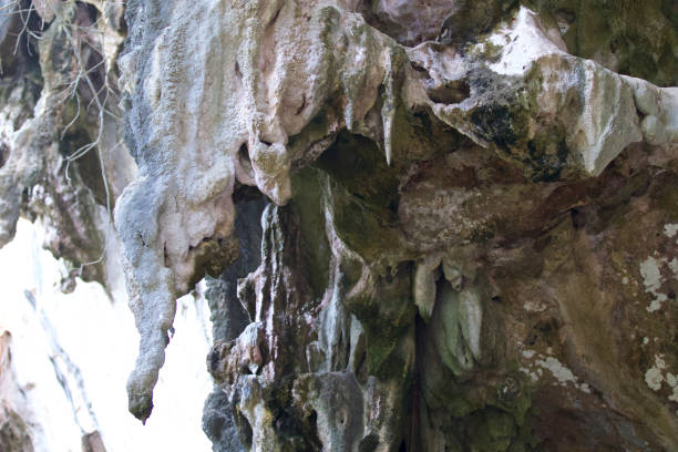 istock Details and forms of rocks on Railay peninsula, Thailand 923526998