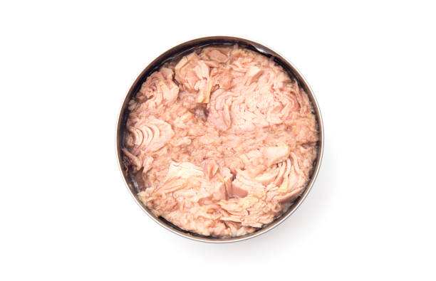 istock Open Can of Tuna in a Silver Tin 923529670