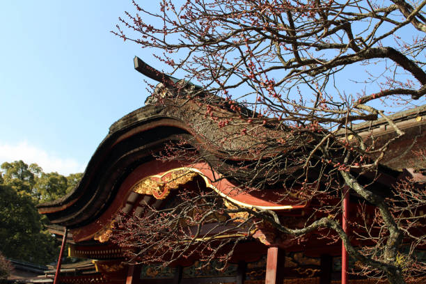 The details of architecture of Dazaifu Tenmangu, in Fukuoka, Japan stock photo
