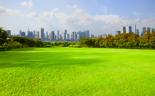 wide green grass ground of public park against high building in city