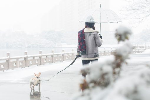 beautiful woman walking her dog in park,China.