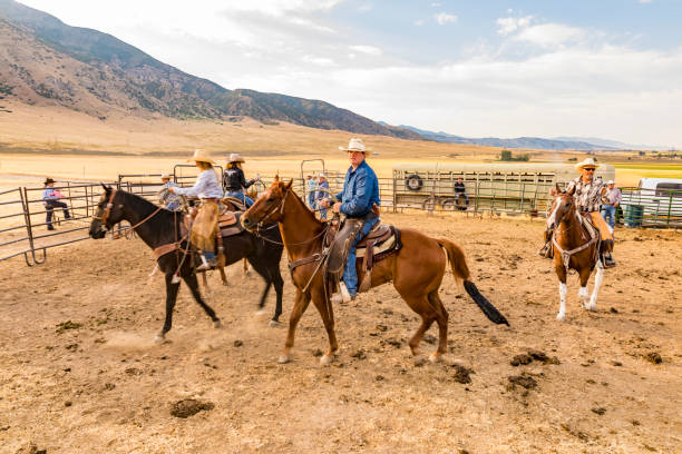 istock Farmers Roping Cattle for Branding 923543186