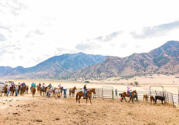 istock Farmers Roping Cattle for Branding 923543214