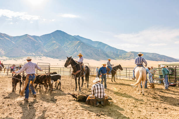 istock Farmers Roping Cattle for Branding 923543276