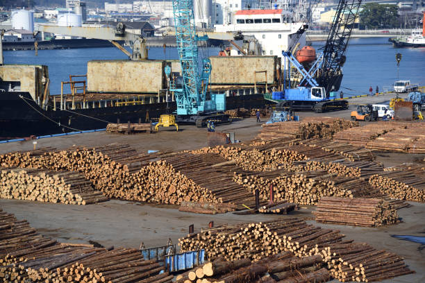 istock Port of wood Storage 923543484