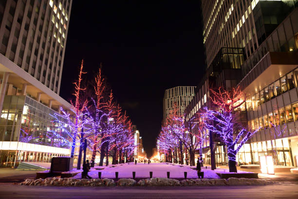 Sapporo with snowy landscaped with illumination