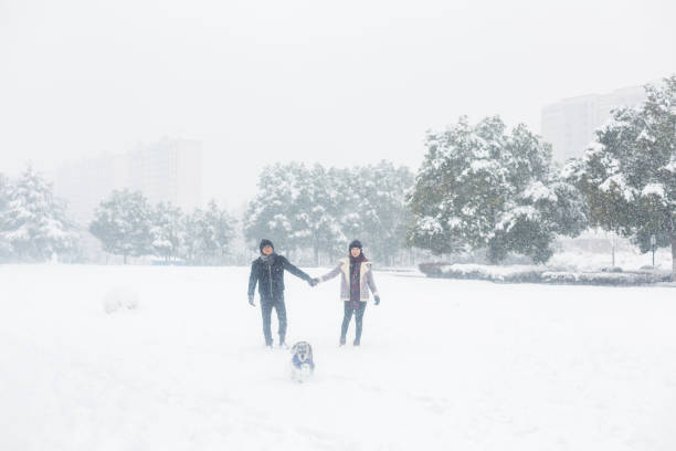 affectionate couple with pet dog standing in winter landscape,China.