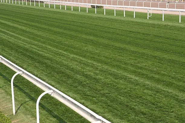 Photo of Horse Racing Track