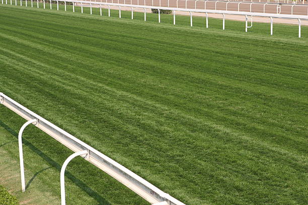 pista de corridas de cavalos - flat racing imagens e fotografias de stock