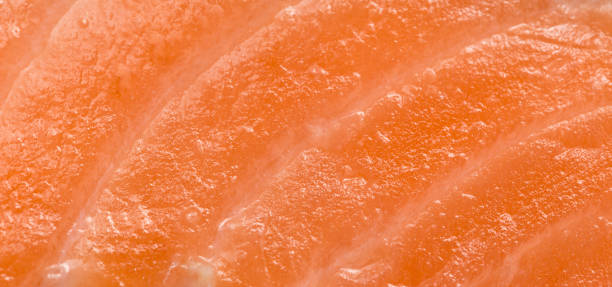 istock red meat salmon as a background 923571388