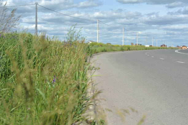 Selective focus on soil and grass located on a dirt road. The road is rural and leads to the village.