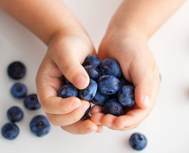 a handful of berries in children's hands stock photo