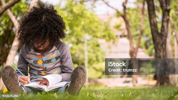 Foto de Um Menino Escrevendo No Notebook Enquanto Está Sentado Na Grama Verde Em Um Parque e mais fotos de stock de Exterior
