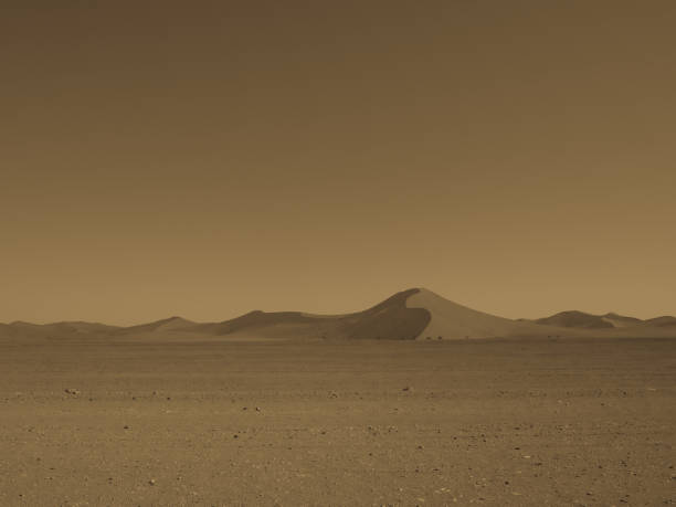 istock Monotone image of beautiful natural sand dune curved ridge with soft shadow on vast empty dried desert landscape and clear sky background 923577524