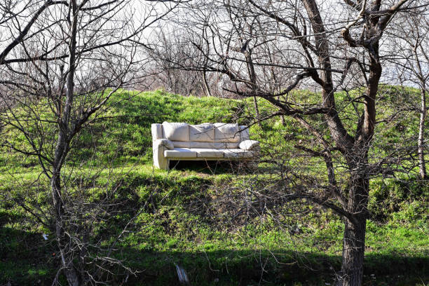 istock An abandoned old shell of a decaying sofa is seen in some woods 923577548