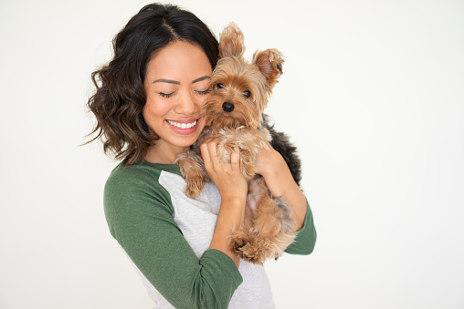 Closeup portrait of smiling young attractive woman embracing Yorkshire terrier with her eyes closed. Yorkshire terrier concept. Isolated front view on white background.