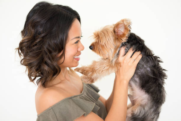 istock Smiling Pretty Woman Raising Yorkshire Terrier 923578466