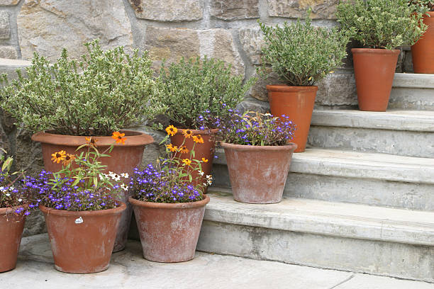 istock Plant pots on stairs 92358035