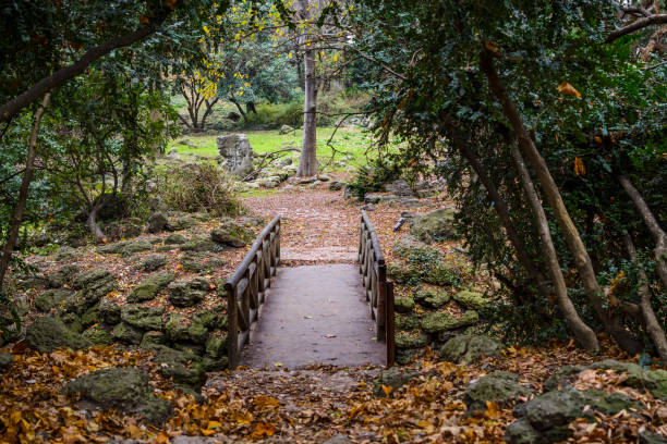 istock Iron bridge in the sea garden 923581154