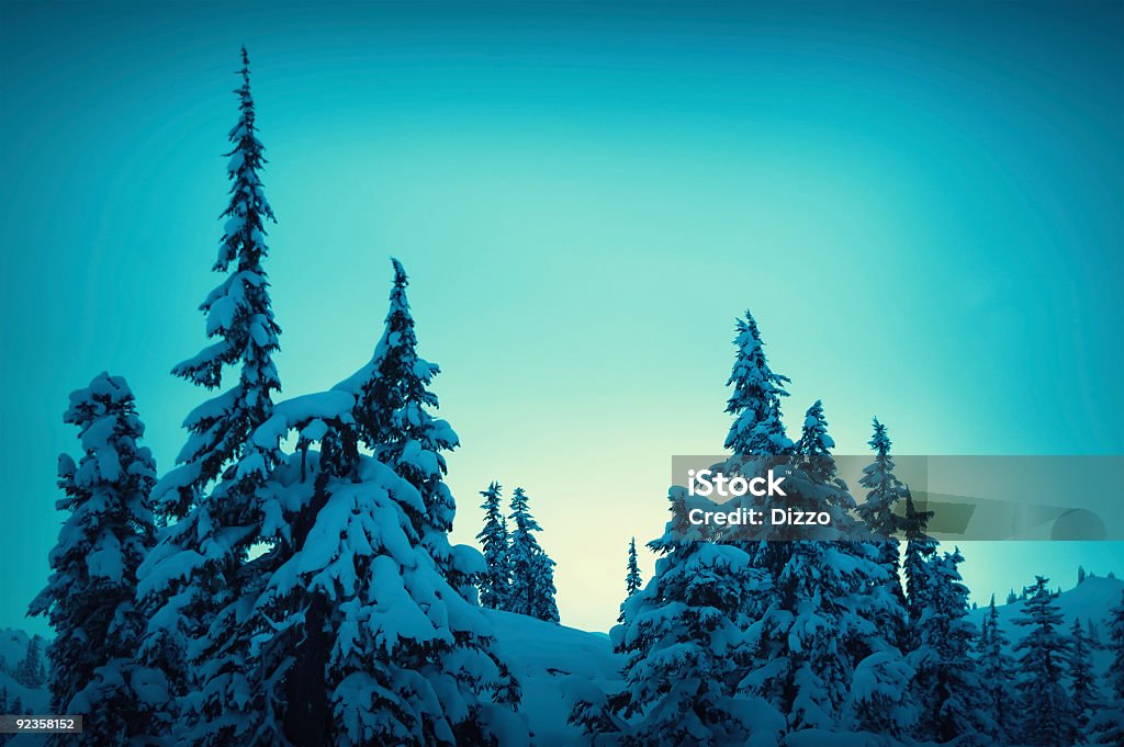 Alpenglühen über die Bäume - Lizenzfrei Baum Stock-Foto