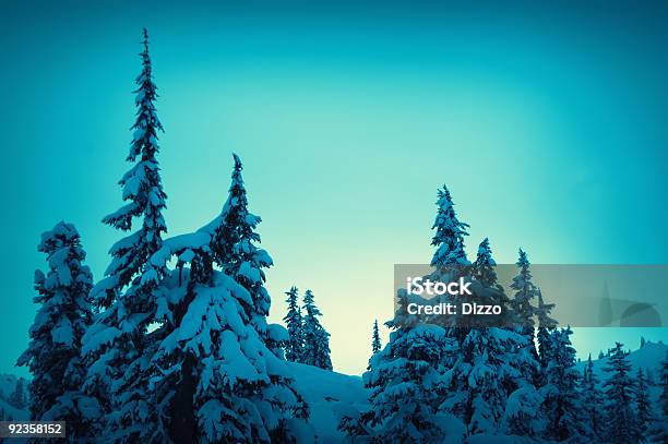 Alpenglühen Über Die Bäume Stockfoto und mehr Bilder von Baum - Baum, Baumkrone, Berg