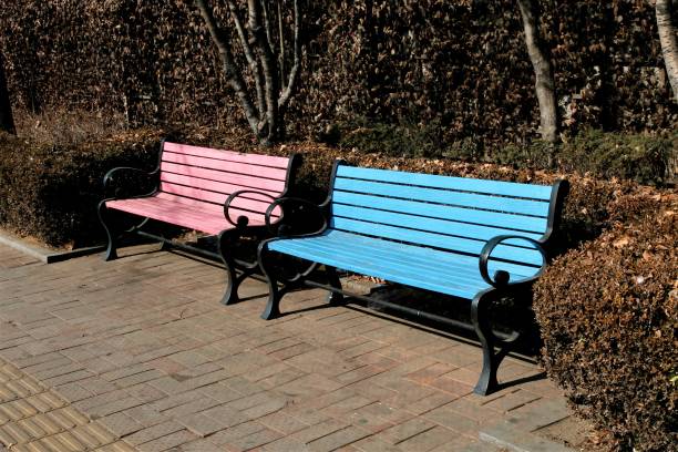 istock colors bench in the garden 923581840